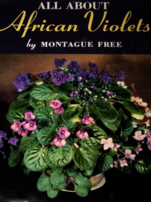 cover image of All About African Violets